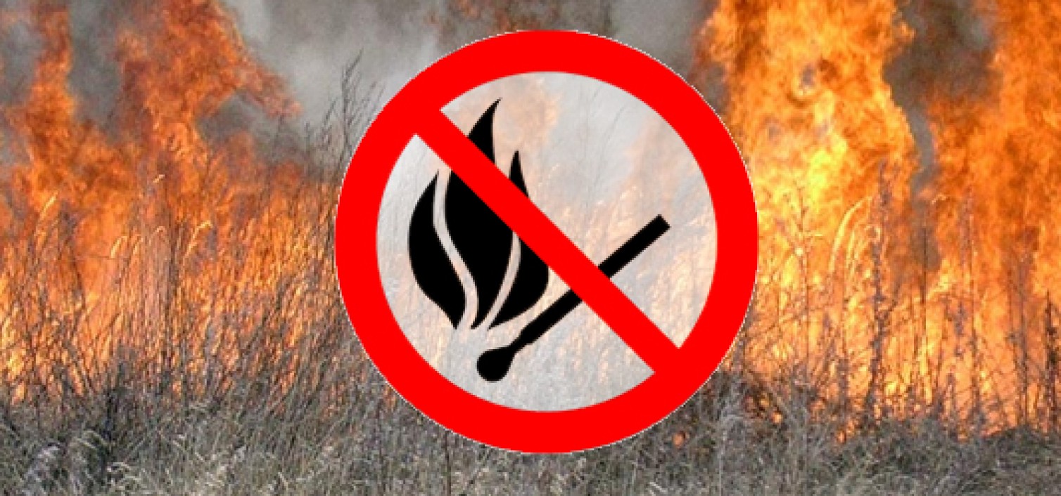 Управління з питань цивільного захисту ОДА закликає полтавців утриматися від спалювання сухої рослинності
