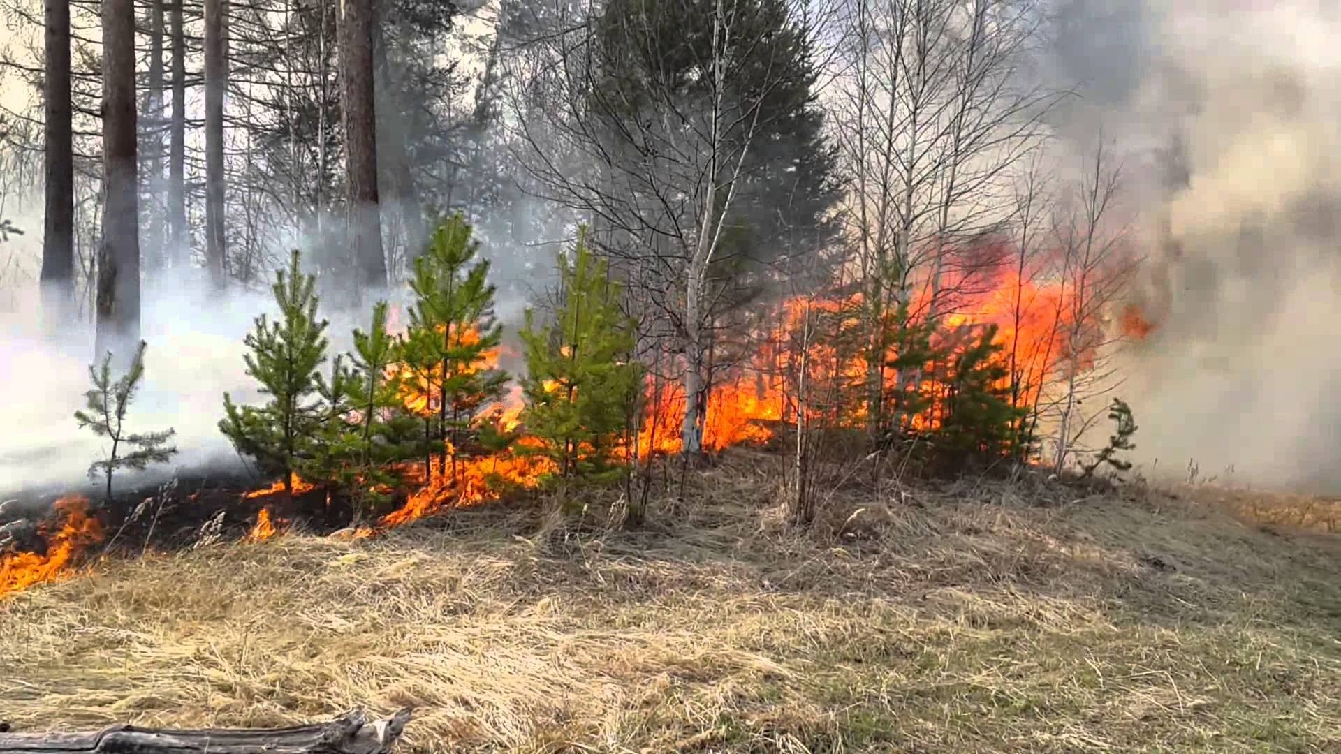 Із 6 по 8 травня на Полтавщині очікується надзвичайний рівень пожежної небезпеки