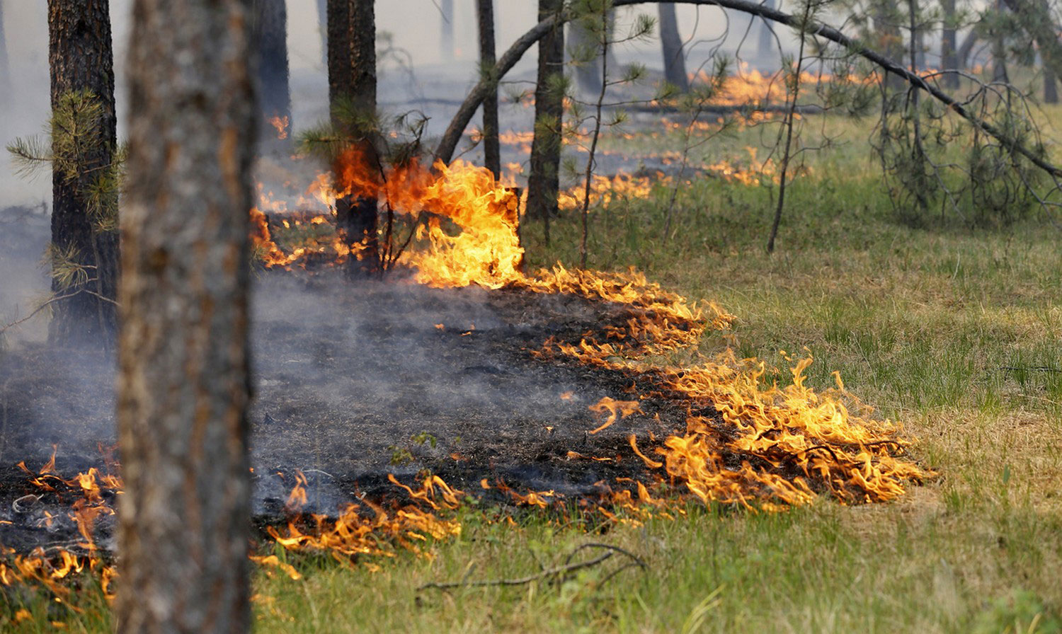 Увага! Попередження про пожежну небезпеку на території Полтавської області