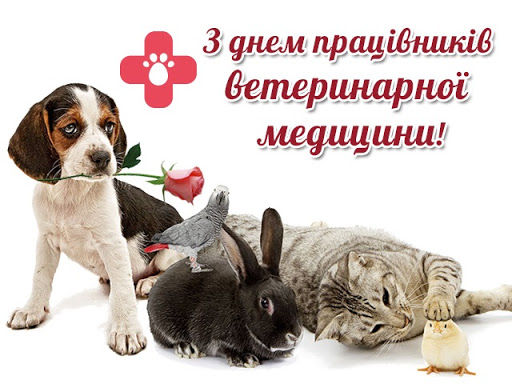 Вітання з Днем працівників ветеринарної медицини!