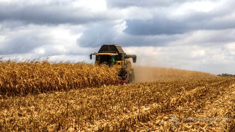 Аграрії Полтавщини намолотили 4,5 млн тонн зернових