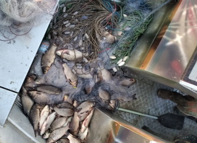 Із акваторії Сулинської затоки вилучено 10 од. браконьєрських сіток, – Полтавський рибоохоронний патруль