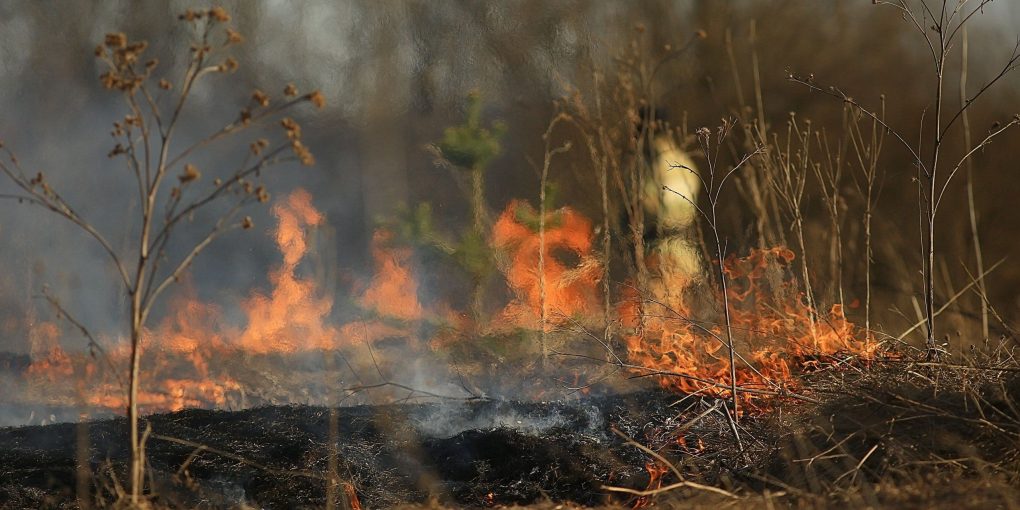 Спалювання листя – небезпека для здоров’я людей та шкода для довкілля
