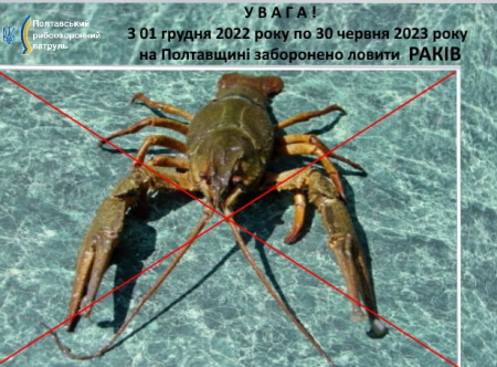 З 1 грудня 2022  у рибогосподарських водних об’єктах Полтавської області розпочинається заборона на вилов раків