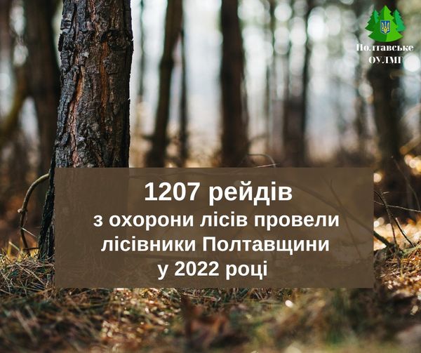 1207 рейдів з охорони лісів провели лісівники Полтавщини у 2022 році