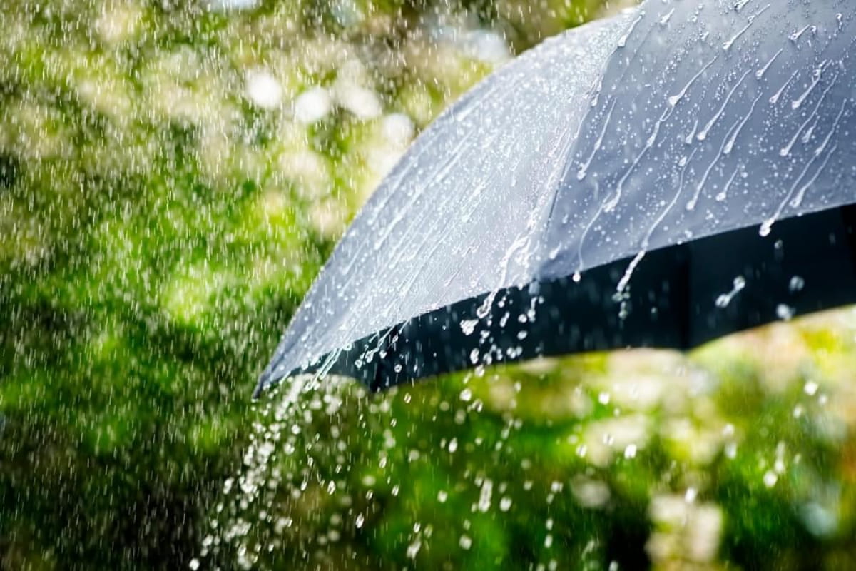 На вихідних синоптики прогнозують дощі та грози